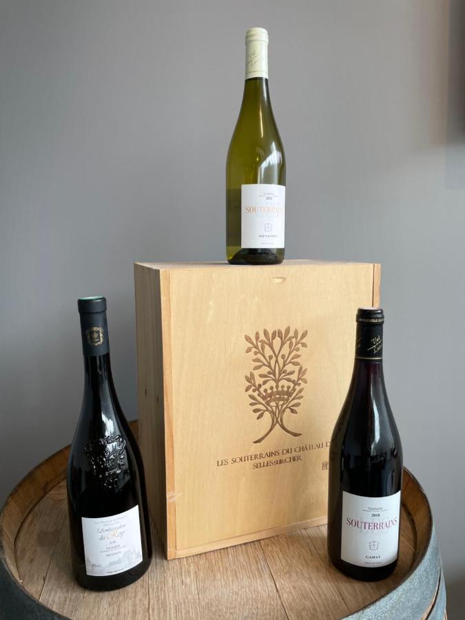 Gites Des Chateaux - Gite A Selles-sur-Cher Luaran gambar
